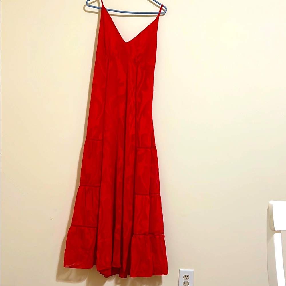 NEW $190 WHBM Red Slip Burnout Maxi Dress with Spaghetti Straps size 6 - Picture 3 of 14